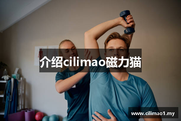 介绍cilimao磁力猫